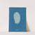 Codium Bursa (1843-1853) by Anna Atkins