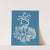 Codium tomentosum (1843-1853) by Anna Atkins