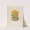 Collar &amp; Cuff Box by Frank J. Mace