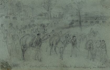 Collecting forage. Escort skirmishing n. Harrison