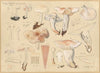 Collybia maculata, Schw. (1915-1945)