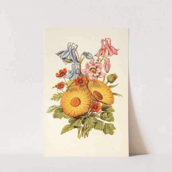 Columbine, Marigold, Pheasant&#039;s Eye by Robert Tyas