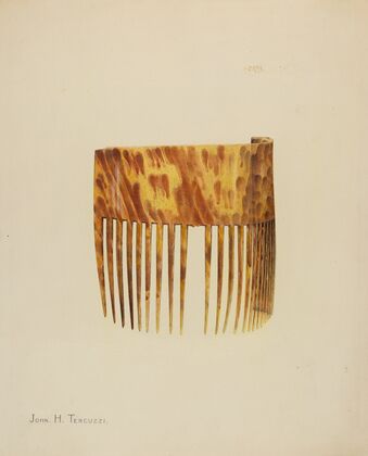 Comb