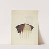 Comb by Margaret Concha