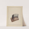 Comb (For Agricultural Use) by Charlotte Winter