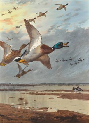 Coming In From The Sea (1905)