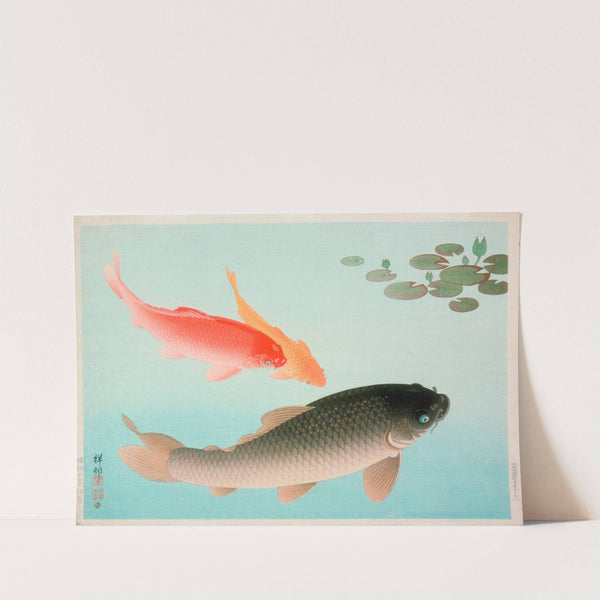 Common And Golden Carp by Ohara Koson