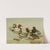 Common Pochard (1922-1926) by Allan Brooks