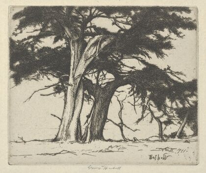 Companions (1920)