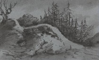 Composition of Rocks and Pine Trees