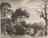Composition: The Edge of a Wood