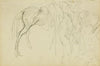 Compositional study, horse studies