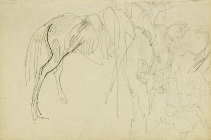 Compositional study, horse studies