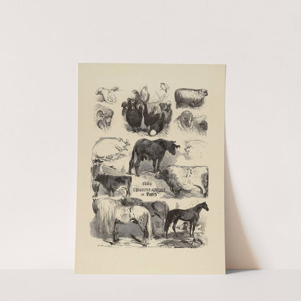 Concours agricole (1860) by Edmond Morin