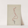 Coral Beads and Crucifix by Majel G. Claflin