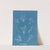 Corallina elongata (1843-1853) by Anna Atkins