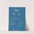 Corallina officinalis (1843-1853) by Anna Atkins