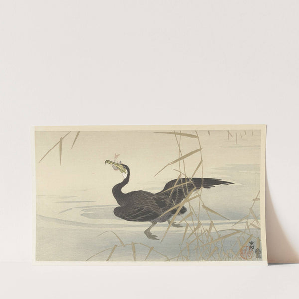 Cormorant with fish (1900 - 1930) by Ohara Koson