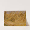 Corn Field (Study) by Włodzimierz Tetmajer