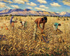 Corn Harvest at Santo Domingo
