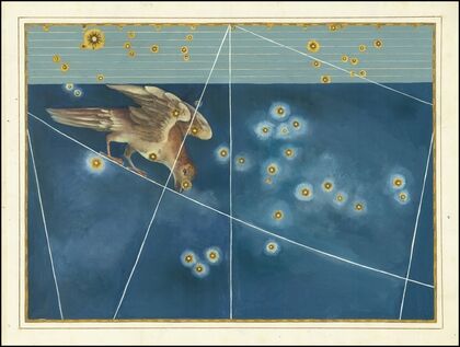 Corvus (1603)