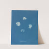 Corynephora marina (1843-1853) by Anna Atkins
