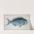 Coryphaena coerulea, The Bleu-Fish (1785-1797) by Marcus Elieser Bloch