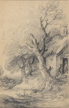 Cottage and trees
