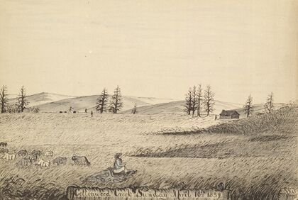 Cottonwood Creek, Sunday April 10th 1859