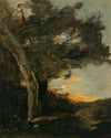 Coucher De Soleil Avec Une Lionne
