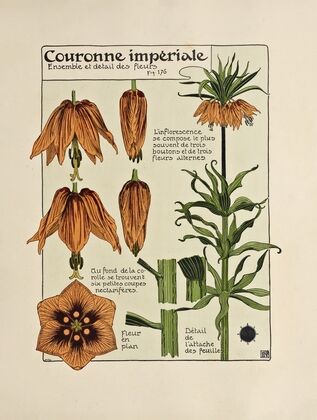 Couronne Imperiale