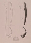 Cours de dessin Pl.19 (1867)