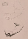 Cours de dessin Pl.20 (1867)