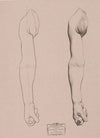 Cours de dessin Pl.21 (1867)