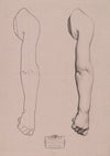 Cours de dessin Pl.22 (1867)