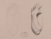 Cours de dessin Pl.23 (1867)