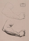 Cours de dessin Pl.24 (1867)