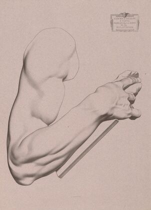 Cours de dessin Pl.25 (1867)