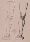 Cours de dessin Pl.30 (1867)