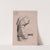 Cours de dessin Pl.58 (1867) by Charles Bargue