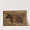 Cow by Andre Plumot
