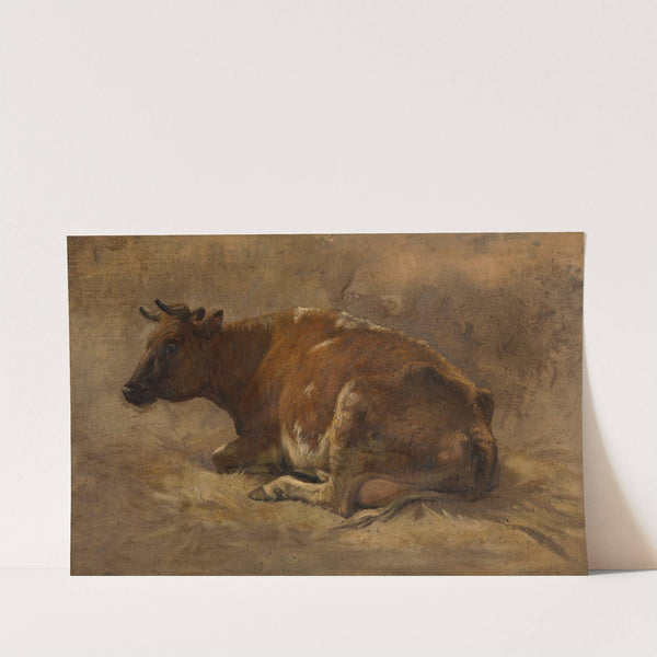 Cow by Andre Plumot