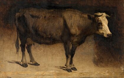 Cow