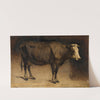 Cow by Andre Plumot
