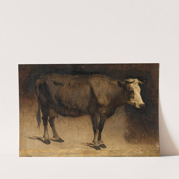 Cow by Andre Plumot