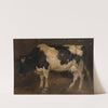 Cow by Andre Plumot