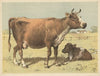 Cow (1892)