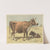 Cow (1892) by Oluf August Hermansen