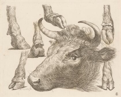 Cow head and studies of hooves (1793)