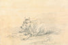 Cow Lying Down
